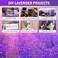 Timoo JTIEO Ingrow Natural Dried Lavender Flowers for Home Decoration (Pack of 2