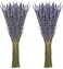 Timoo JTIEO Ingrow Natural Dried Lavender Flowers for Home Decoration (Pack of 2