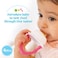 Dr. Brown's Designed to Nourish, Fresh Firsts Silicone Feeder, Grey, One Size