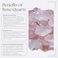 SAOI Crystal Water Bottle - Rose Quartz Gemstone Infused Elixir - Natural Wellness Healing - Glass/Stainless Steel