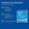 Rite Aid Nicotine Gum, Ice Mint Flavor, 4 mg - 100 CountQuit Smoking AidNicotine Replacement GumStop Smoking Aids That WorkChewing Gum to Help You Quit SmokingCoated Nicotine Gum