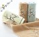 Pidada Hand Towels Set of 2 Embroidered Bird Tree Pattern 100% Cotton Absorbent Soft Small Decorative Towel for Bathroom 13.8 x 29.5 Inch (Aqua Green