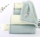 Pidada Hand Towels Set of 2 Embroidered Bird Tree Pattern 100% Cotton Absorbent Soft Small Decorative Towel for Bathroom 13.8 x 29.5 Inch (Aqua Green