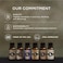 Eternal Essence Oils Carnival Sweets Set of 6 Premium Fragrance Candy Corn, Salted Caramel Pumpkin, Summer Boardwalk