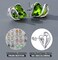 Leafael Infinity Love Heart Earrings for Women, Birthstone Crystal Earrings with Healing Stones, Silver-tone Crystal Stud Earrings, Allergy-Free Jewelry Gift for Women with Gift Box