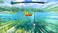 Aksys Fishing Star World Tour - Nintendo Switch