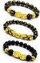 RIOSO Feng Shui Good Luck Bracelets for Men and Women Black