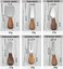 KT-GARY Cheese Knife Set-6 Pieces Cheese Knives with Bamboo Wood Handle Steel Stainless,Cheese Slicer Cheese Cutter for Charcuterie Boards and Cutlery Gift Set