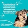 Virbac CET Enzymatic Oral Hygiene Chews for Dogs, Beef, 0.6 pounds, 8.4 Ounce (Pack of 1