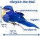 BANBERRY DESIGNS Bluebird Clip On Bird Decorations - Set of 10 Bluebirds for Home Decorating - Floral Arrangement Accents - Crafting Accessory - Wreath Garland Centerpiece D&eacute;cor
