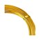 TecUnite 32.8 Feet Aluminum Wire, Bendable Metal Craft Wire for Making Dolls Skeleton DIY Crafts (Gold, 3 mm Thickness