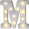 Pooqla LED Marquee Letter Lights Alphabet Signs Light Up for Table Wedding Home Party Bar Decoration M