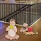 JIFTOK Stairway Net - Baby Safety Rail - 180 inch x 32 inch - Banister Stair Net for Child, Small pet,Toy- IndoorOutdoor(Black