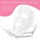 Maitys 200 Sheets Facial Plastic Mask Disposable Facial Sheet Mask Transparent Face Masks Skincare Preservative DIY Clear Spa Thin Plastic Wrap Moisture Retention