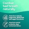 OraCoat FreshMelts Fresh Breath Stick-on Melts for Lasting Freshness, Sweet Mint, 160 Count