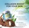 NATURE THEORY Collagen Cream - Anti Aging Face Moisturizer - DayNight - Made in USA - Natural Formula with Hyaluronic AcidVitamin C - Cleanse, Moisturize, and Protect Your Skin