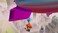 Skybound Games Gang Beasts - Nintendo Switch
