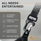 COLLAR Heavy Duty Dog Leash 4 ft for Small Medium and Large Dogs - Durable Dog Leash for Puppy - Walking Leash for Large Breed Dogs (Black