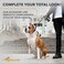 COLLAR Heavy Duty Dog Leash 4 ft for Small Medium and Large Dogs - Durable Dog Leash for Puppy - Walking Leash for Large Breed Dogs (Black