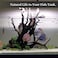 majoywoo Natural Large Driftwood for Aquarium Decor Reptile Decor, Fewer Branches 12.5-18" 2Pcs