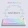 Womier Pudding Keycaps, PBT Keycaps 165 Keys Set Custom Keycap Set, Shine Through Keycaps OEM Profile, Universal Compatiability for 100%, 75%, 65%, 60% Keyboard-White