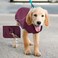 ROZKITCH Dog Winter Coat Soft Pullover Pajamas, Pet Windproof Warm Cold Weather Jacket Vest Cozy Onesie Jumpsuit Apparel Outfit Clothes for Small, Medium, Large Dogs Walking Hiking Travel Sleep Red