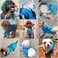 Petcare Dog Hoodie Pet Fleece Sweatshirt Puppy Hoodies Fall Winter Warm Dog Sweaters for Small Dogs Cats Clothes (Blue,Large