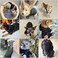 Petcare Dog Hoodie Pet Fleece Sweatshirt Puppy Hoodies Fall Winter Warm Dog Sweaters for Small Dogs Cats Clothes (Black,Large