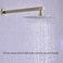 TRUSTMI Square Shower Arm with Flange in Brushed Brass 16 Inch Wall Mounted Rainfall Shower Head Extension Arm, Stainless Steel, Brushed Gold