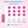 KILOSTEP Toilet Gel, 60 Count Toilet Bowl Gel Stamp 5 Kinds Of Scent Toilet Cleaner Gel Stamp Kit Air Freshener