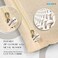 SOLSTICE Cotton Saree Bags/Covers for Storage Set of - 12 Big size single (16 x 14 Incheswith Zip Closure for Clothes Bags and Wardrobe Organizer with Transparent mesh window