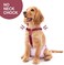 Pet Soft Dog Suspenders 2 Pieces Female Dog Diaper Suspenders for Dogs Diaper Keeper Suspender for Dog Skirt, Dog Dress (BrownBurgundy, XS/S