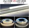 شريط إضاءة LED من نوع COB من HAMRVL، لون أزرق ثلجي، يعمل بجهد 12 فولت تيار مستمر، طوله 5 أمتار (16.4 قدم)، يحتوي على 320 مصباح LED لكل متر، مؤشر تجسيد اللون 90، شريط إضاءة LED مرن ساطع، عرضه 8 مم، منا