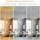 ANJIADENGSHI Lantern Pendant Light Iron Cage 1 E26 Bulbs Chandelier for Dining Room Kitchen, Gold Plating (Bulbs Not Included