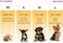 DroolingDog 6 Pack Cat Clothes Small Dog Puppy Shirts Pet Dog T Shirt for Dogs Tshirts Girl Puppy T-Shirt Boy Dog Clothes Cats Vest Apparel
