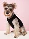 DroolingDog 6 Pack Cat Clothes Small Dog Puppy Shirts Pet Dog T Shirt for Dogs Tshirts Girl Puppy T-Shirt Boy Dog Clothes Cats Vest Apparel