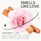 Pacifica Beauty Dream Moon Spray Perfume Pink Rose, Sandalwood, Patchouli Notes NaturalEssential Oils Clean Fragrance VeganCruelty Free, 1 Fl Oz (Pack of 1
