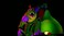 Maximum Entertainment Maximum Games Five Nights at Freddy's: Security Breach (PS5