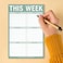 Knock Knock This Week Pad, To Do List NotepadWeekly Agenda Planning Pad (Sage Green, 6 X 22.8 cmes