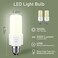 عبوة من مصباحين LED من CA New Sunshine بقوة 40 واط (ما يعادل 300 واط) 5000 لومن، لون أبيض نهاري 5000 كلفن، قاعدة متوسطة E26/E27، للاستخدام الداخلي والخارجي في الشوارع والمكاتب والمستودعات وورش العمل و