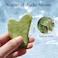 BAIMEI Ice Roller and Gua Sha Facial Tools, Ice Roller for face Reduces Puffiness Migraine Pain Relief-Pink