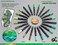 TOOLI-ART 22 Acrylic Paint Markers Paint Pens Pro Color Series Set 3mm Medium Tip for Rock Painting, Glass, Mugs, Wood, Metal, Glass Paint, Canvas, DIY. Non Toxic, Waterbased, Quick Drying (GREENS