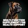 Bully Max 9-in-1 Total Health Dog Chews - PuppyAdult Dog Multivitamin - Omega 3 Vitamin Supplements for Immunity, Brain, Heart, JointDigestive Health for All Breeds - 75 Soft Chews per Bag