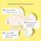 Beekman 1802 Bloom Cream Goat Milk Face Moisturizer, 100 mL - Lightweight, Gentle, Deeply HydratingNourishes Skin Barrier - All Skin Types - Cruelty Free