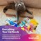 Smartykat Sisal Angle Cat Scratcher Incline