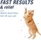 PetArmor CAPACTION (nitenpyramOral Flea Treatment for Cats, Fast Acting Tablets Start Killing Fleas in 30 Minutes, Cats 2-25 lbs, 6 Doses