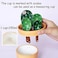 XDONEF XDONE Cactus Measuring Spoons Set in Pot Ceramic Baking Measuring Spoons Cup with Holder for Dry Wet Ingredients Cute Cactus Figurine Dishwasher Safe 1 Tbsp 1 TSP 1/2 TSP 1/4 TSP 1 Cup Unique G