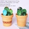 XDONEF XDONE Cactus Measuring Spoons Set in Pot Ceramic Baking Measuring Spoons Cup with Holder for Dry Wet Ingredients Cute Cactus Figurine Dishwasher Safe 1 Tbsp 1 TSP 1/2 TSP 1/4 TSP 1 Cup Unique G