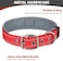 Joytale Reflective Dog Collar, Ultra Comfy Soft Neoprene Padded, Adjustable Heavy Duty Nylon Pet Collars with Metal Belt Buckle for Extra Large Dogs, Red