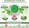 KINPUR ORGANIC COSMETICS Green Tea Under Eye Patches for Wrinkles and Eye Bags - Eye Masks for Dark Circles and Puffiness with Collagen, Hyaluronic Acid - Under Eye Mask for All Skin Types, 30 Pairs
